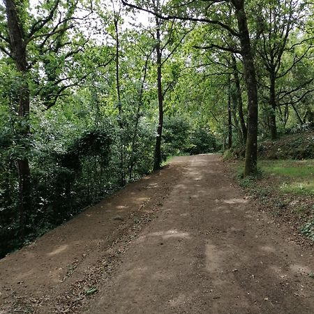 فندق Quinta Mata Da Se ميراندا دو كورفو المظهر الخارجي الصورة